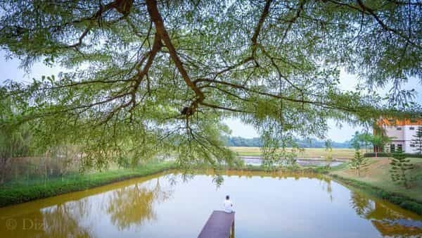 กรีนเพลส สีคิ้ว (Greenplace Sikhio)3