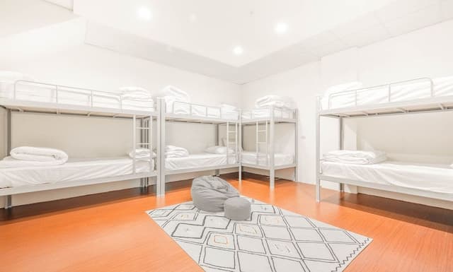 Shared Dormitory, Mixed Dorm