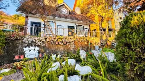 31 Homestay