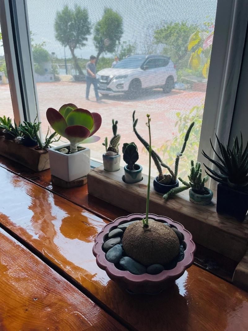 LanJen Villa B&B2