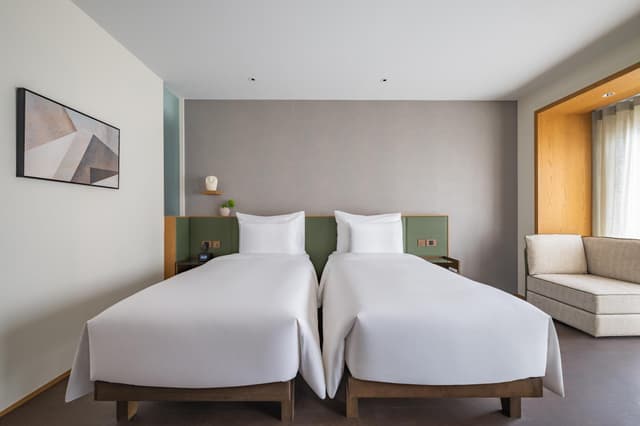 Deluxe Twin Room
