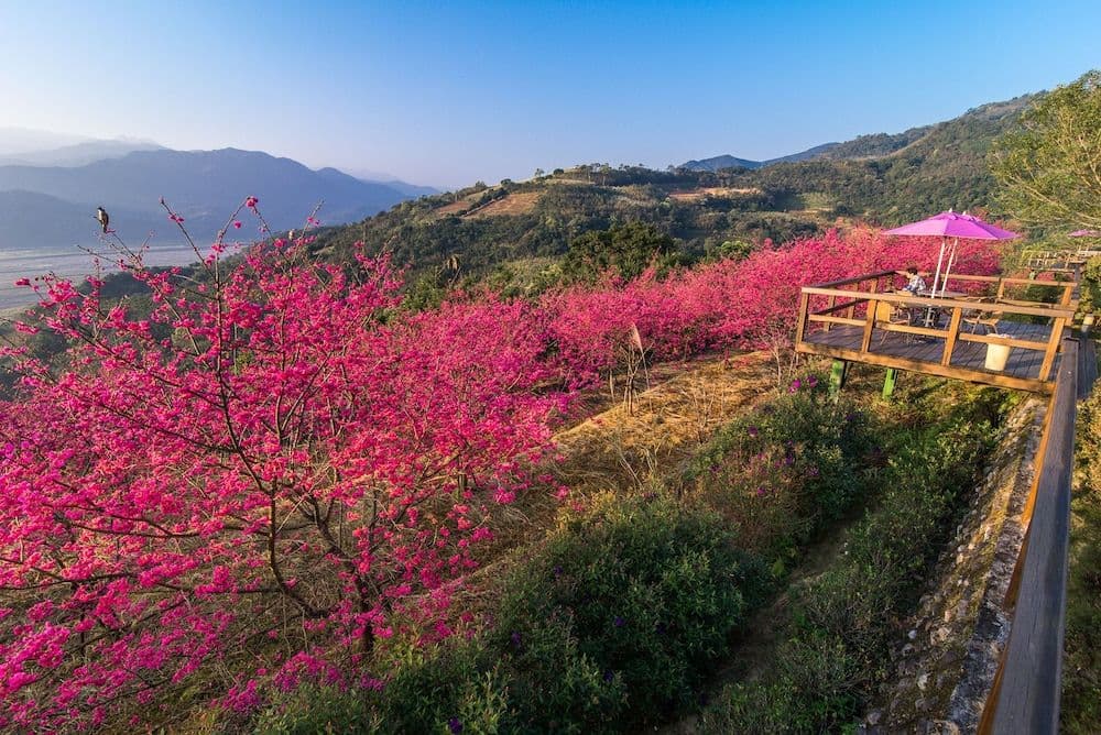 Yilan Ya Lu Homestay Yilan Ya Lu Homestay