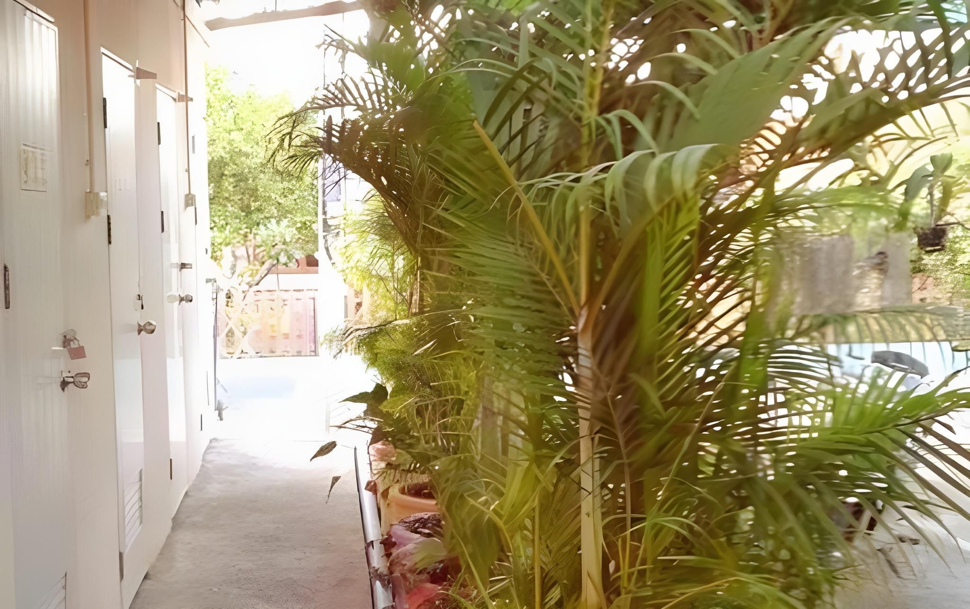 My Home Guesthouse4