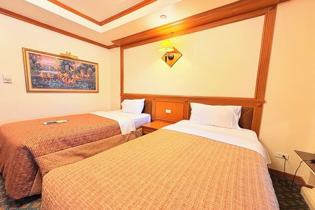 Deluxe Twin Room
