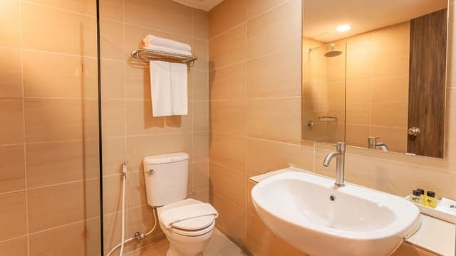 Deluxe Premier Room