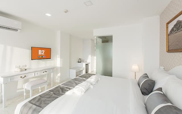 Deluxe Premier Room