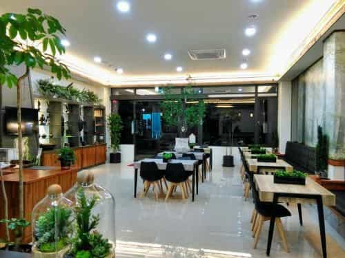 โรงแรมเดอะเดียร์ รีสอร์ท โรงแรมเดอะเดียร์ รีสอร์ท