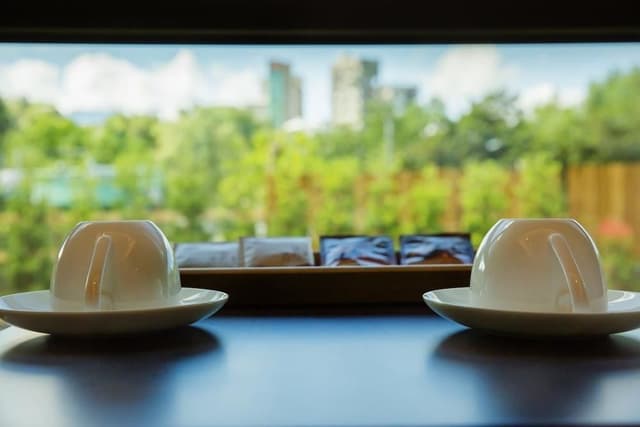 Standard Double Room, City View