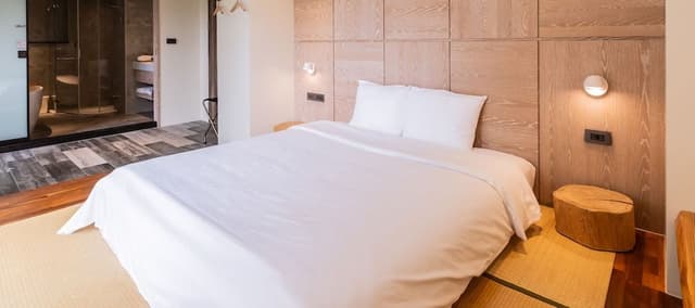 Deluxe Double Room, 1 Queen Bed, Non Smoking