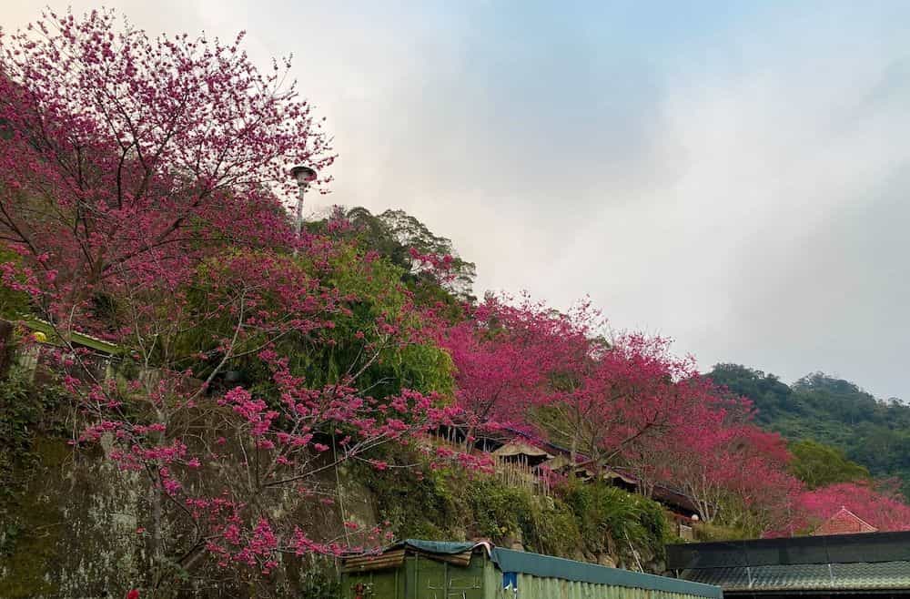 Xianshan Homestay Xianshan Homestay