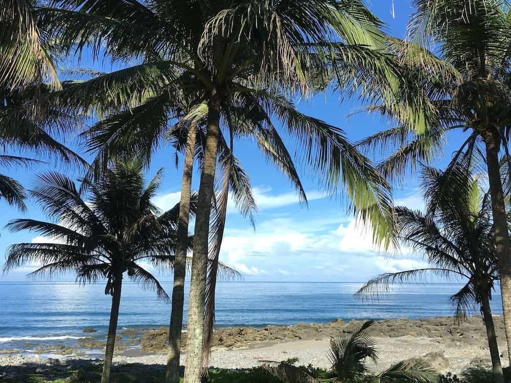 Coconut Beach Homestay Coconut Beach Homestay