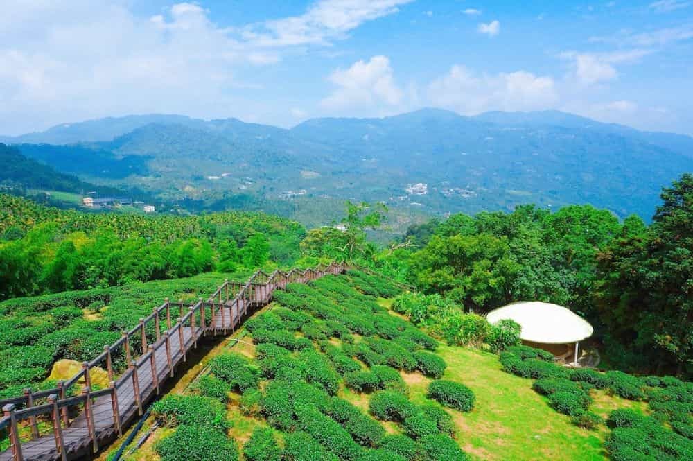 Look Tea House Look Tea House