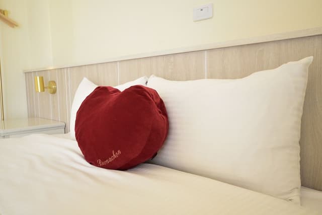 Basic Double Room