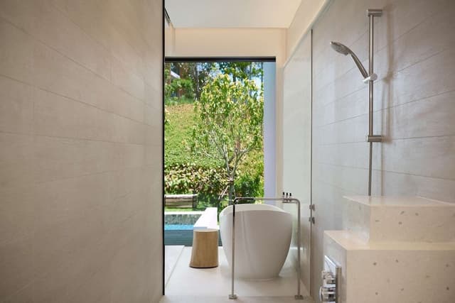 Room, 1 King Bed (Plunge Pool)