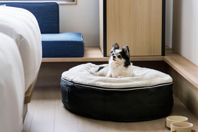 Dog Friendly, Guest room, 1 King