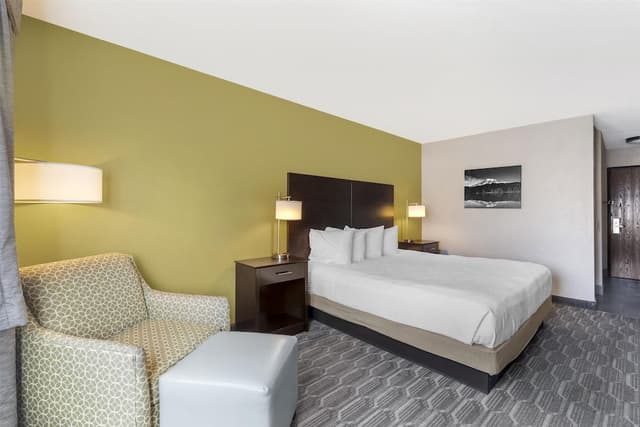 Standard Room, 1 King Bed, Accessible, Non Smoking
