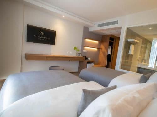 Superior Twin Room