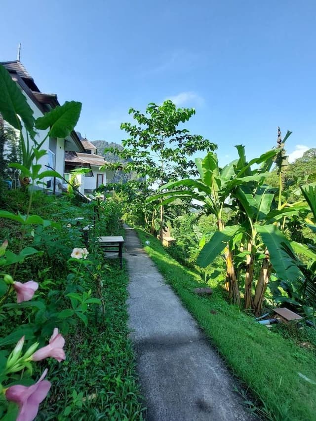 King room villa garden view