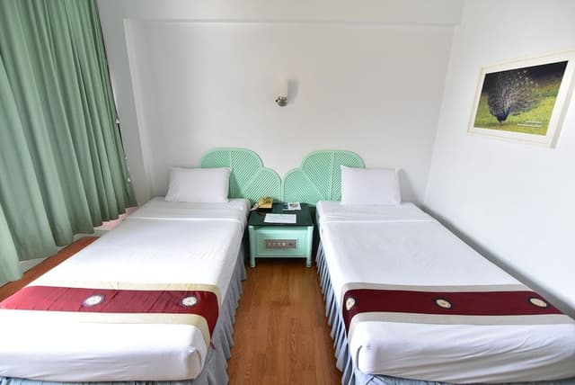 Business Twin Room (Business Deluxe Twin)