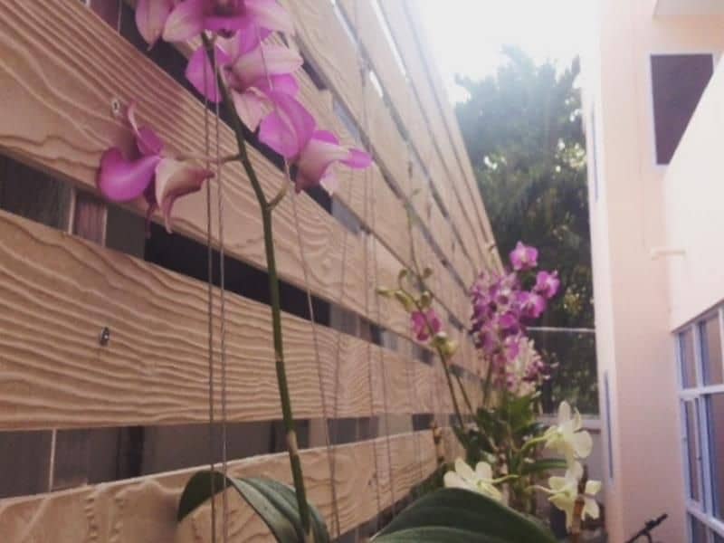 Bhoontun Guesthouse Bhoontun Guesthouse