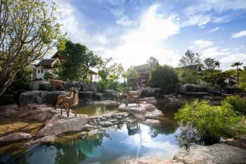 Thantara Resort Chiangmai Thantara Resort Chiangmai
