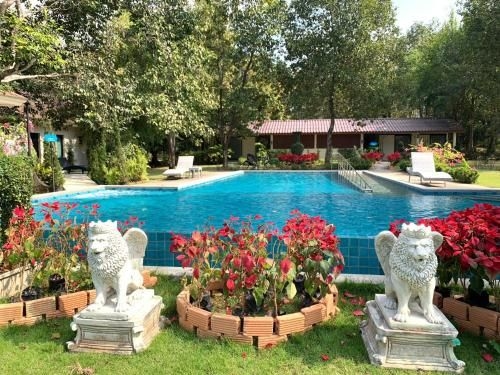 บ้านพิงกัน เวลเนส รีสอร์ต (Baan Pingkan Wellness Resort)0