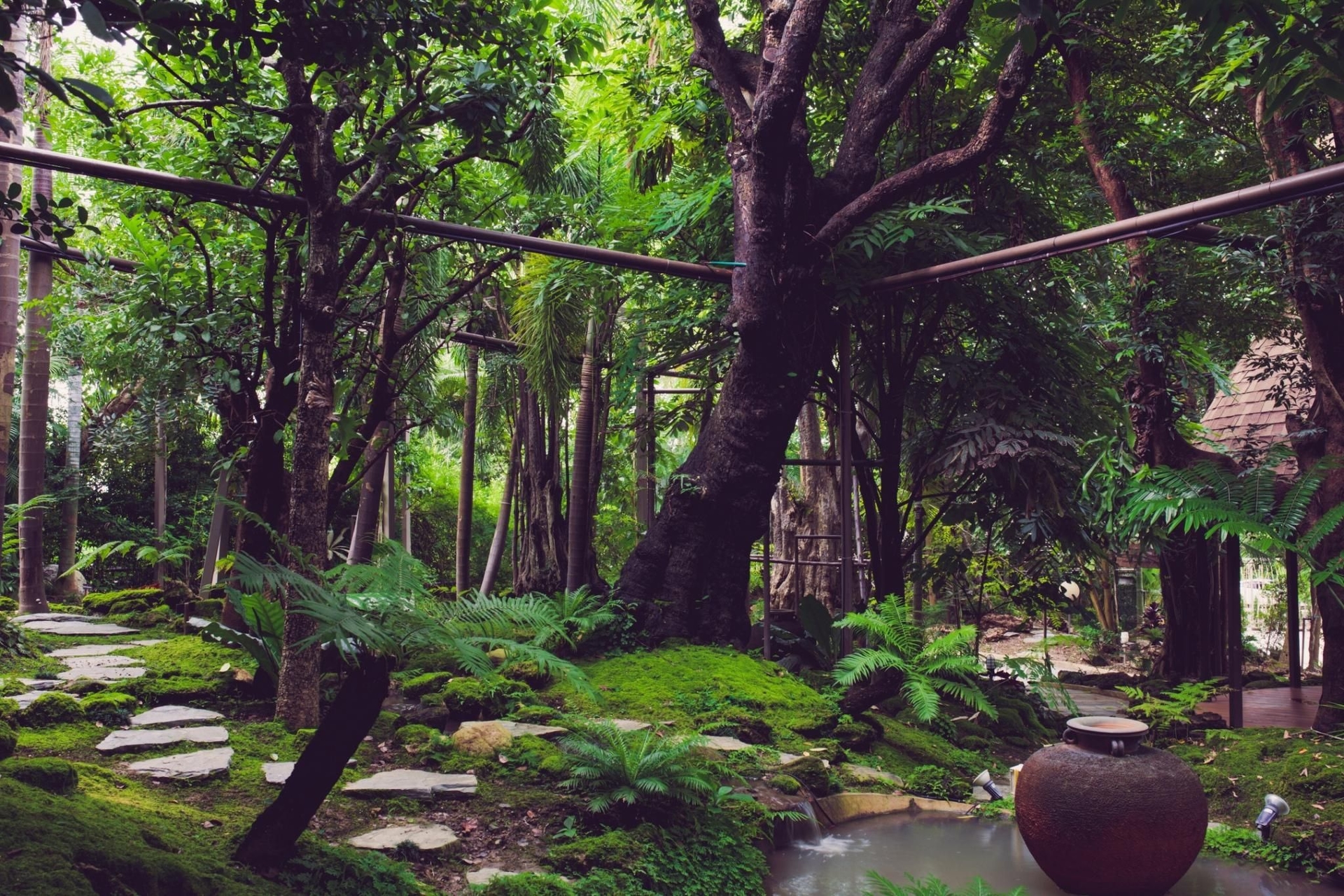 ทรีสเคป รีสอร์ท เชียงใหม่ (Treescape Resort Chiangmai)3