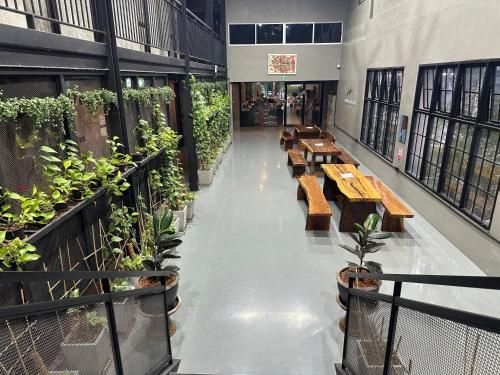 พรีเมียร์ โฮสเทล เชียงใหม่ (Premier Hostel Chiang Mai)4