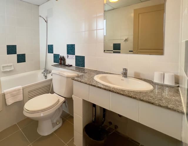 Superior Studio with 2 Single Beds
