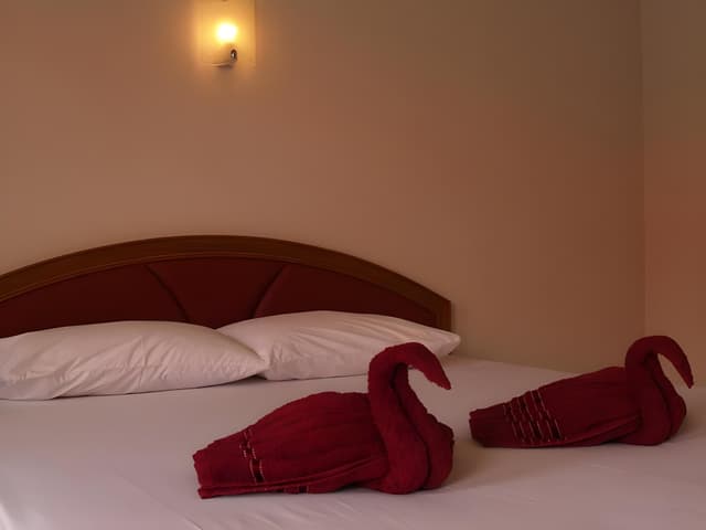 Superior V Room