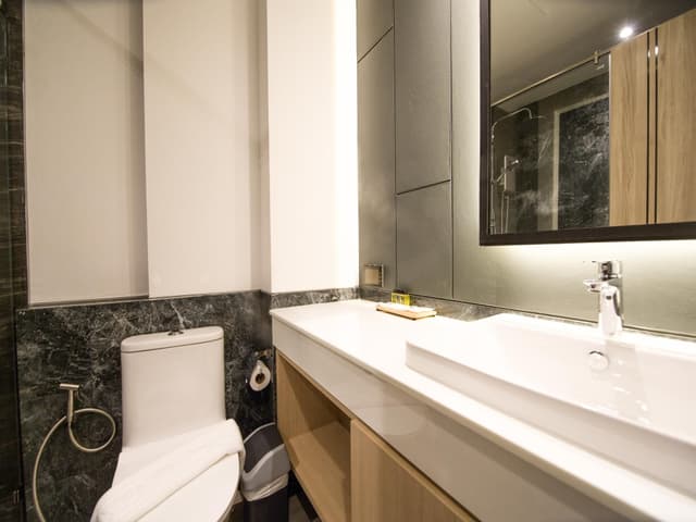 Deluxe Premier Room