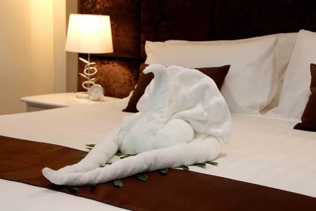 Premier Double Room