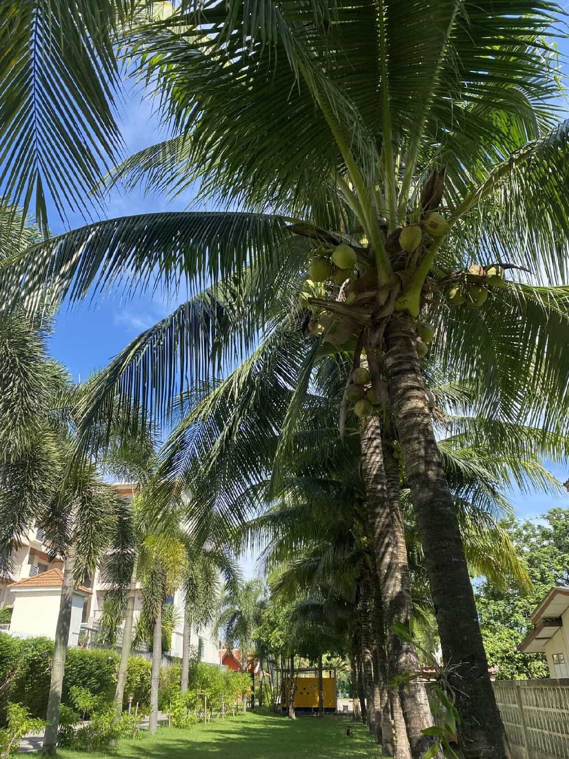 โรงแรมกาน่า อินเตอร์เนชั่นแนล โรงแรมกาน่า อินเตอร์เนชั่นแนล