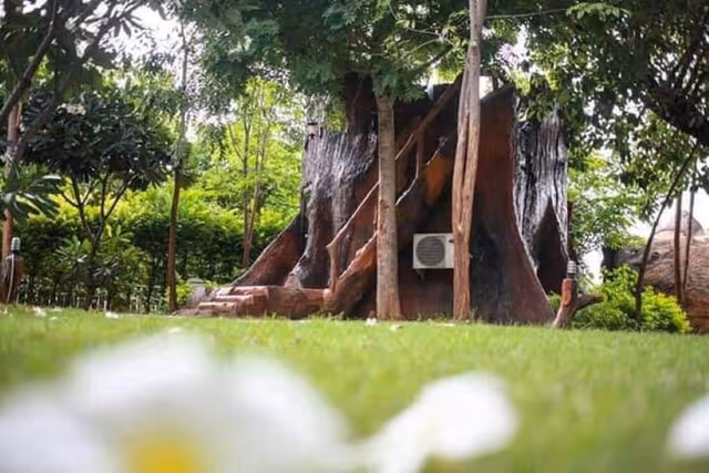 Tree House