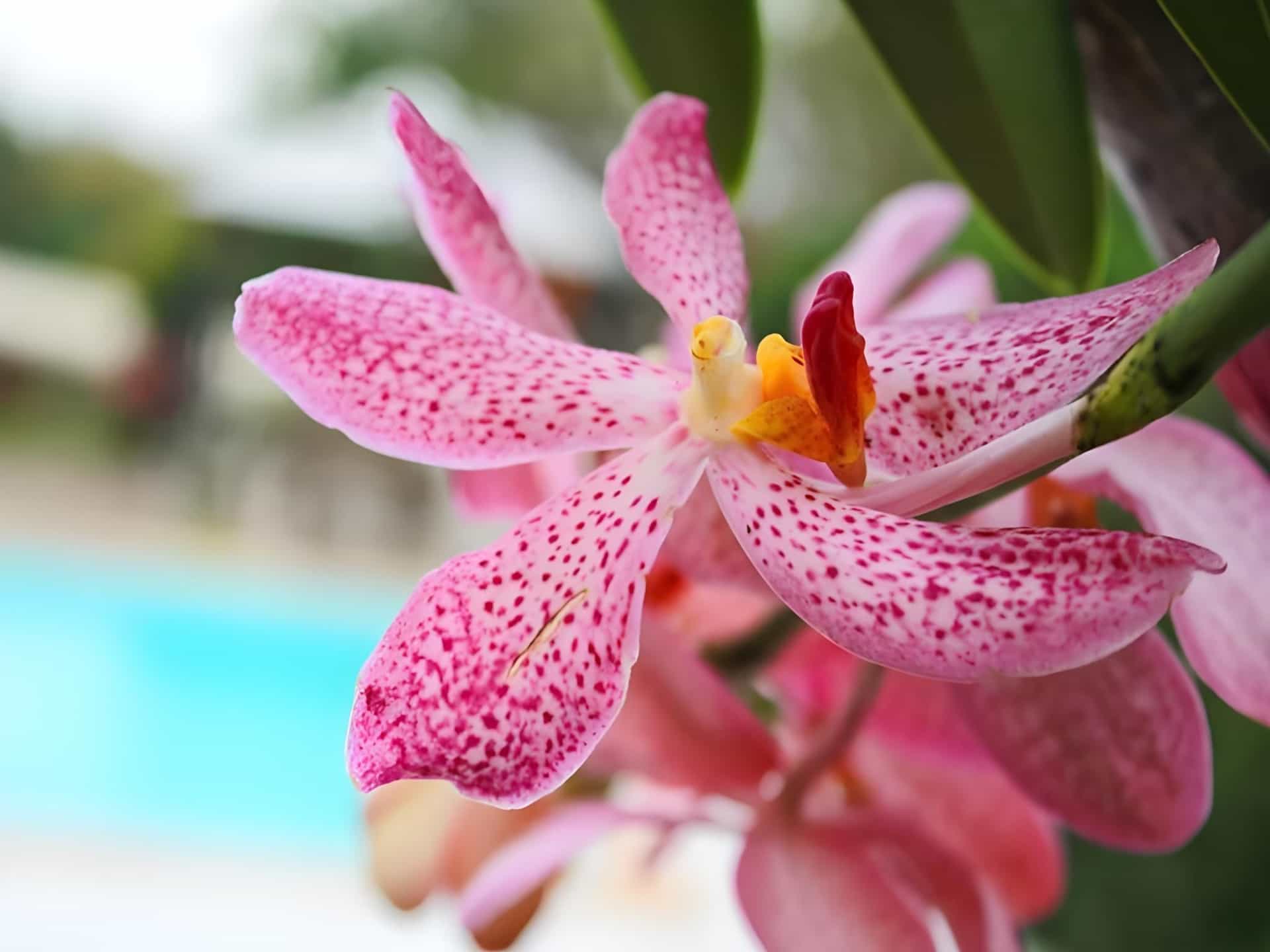Kanvela Resort Kanvela Resort