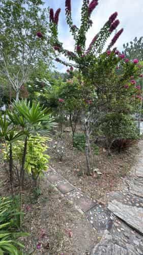 Phurang Hill Resort Phurang Hill Resort
