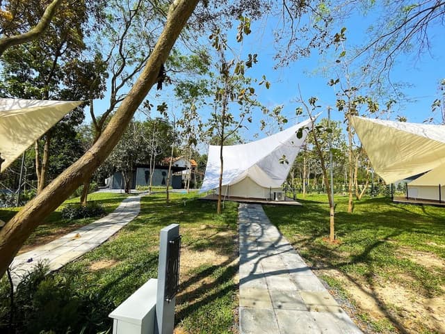 Family Tent (Forest Zone)