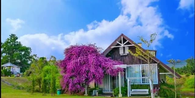Villa 3