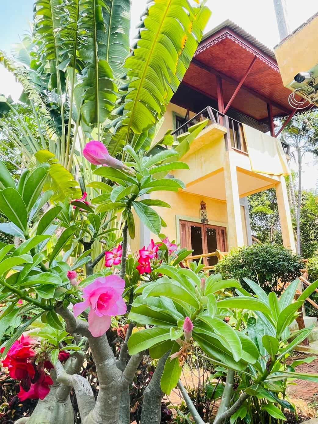 Baan Bali Beach Resort Baan Bali Beach Resort