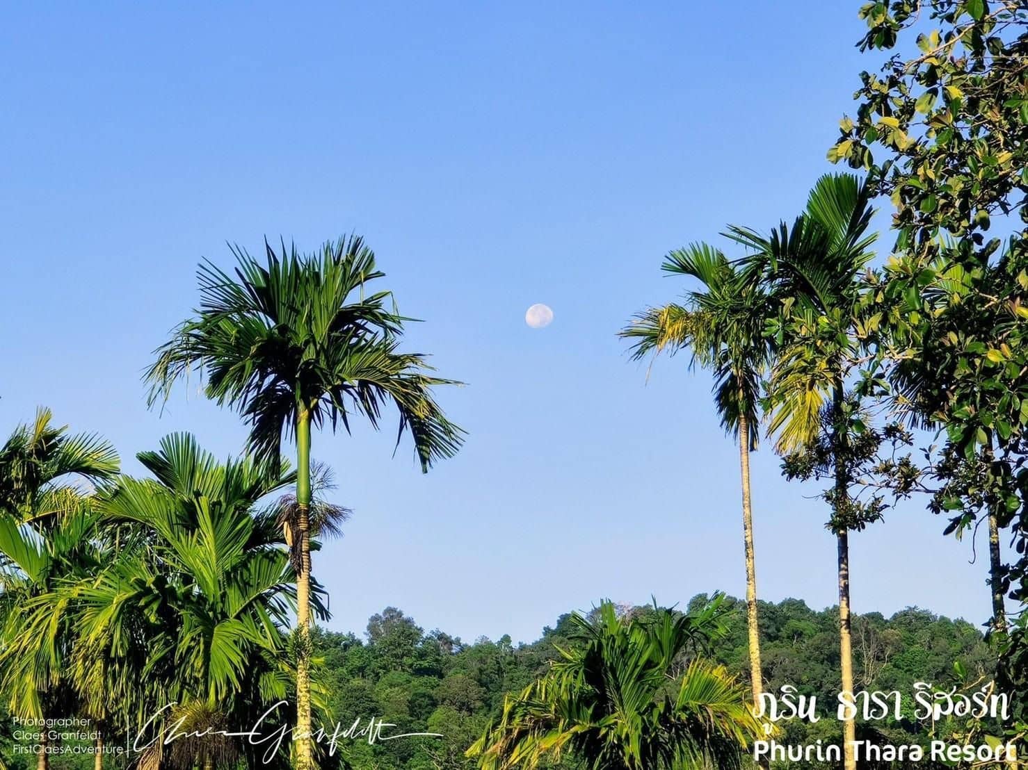 ภูรินธารา รีสอร์ท ภูรินธารา รีสอร์ท