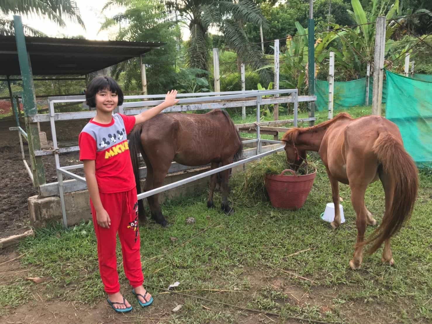 Phang nga farmstay Phang nga farmstay