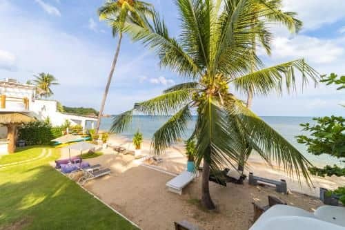 The Rock Samui Poshtel Lamai Beach The Rock Samui Poshtel Lamai Beach