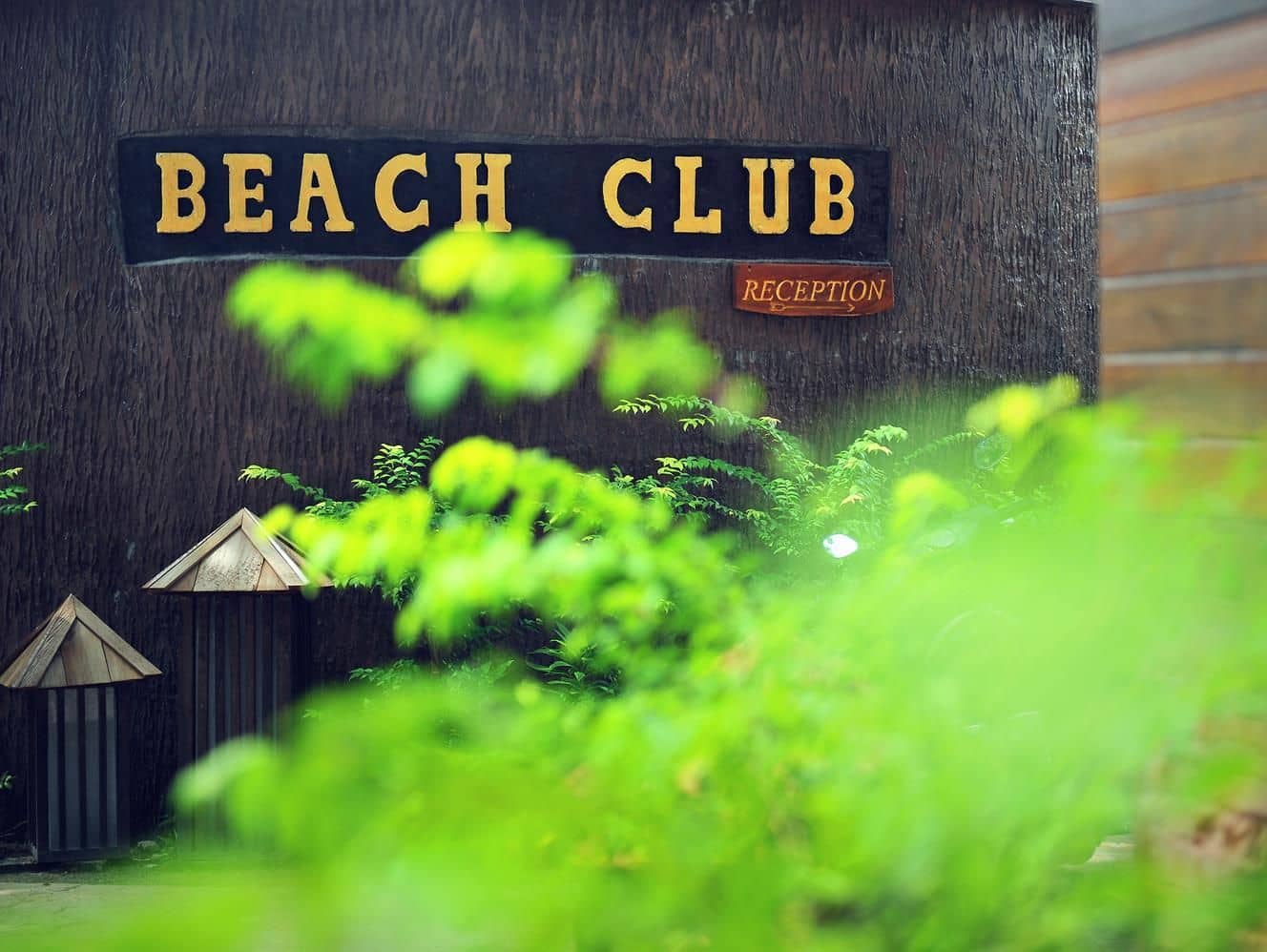Beach Club Koh Tao Beach Club Koh Tao