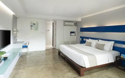 Deluxe Plus with Terrace