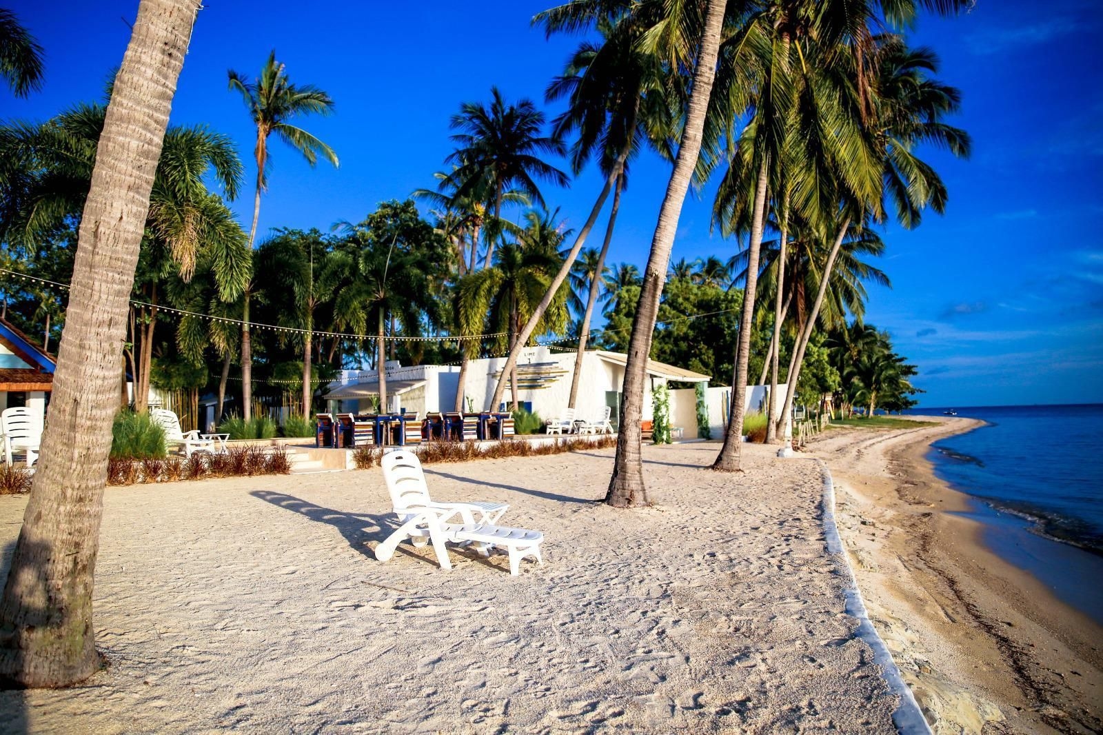 ไลม์ แอนด์ โซดา บีชฟรอนต์ รีสอร์ท (Lime N Soda Beachfront Resort)2