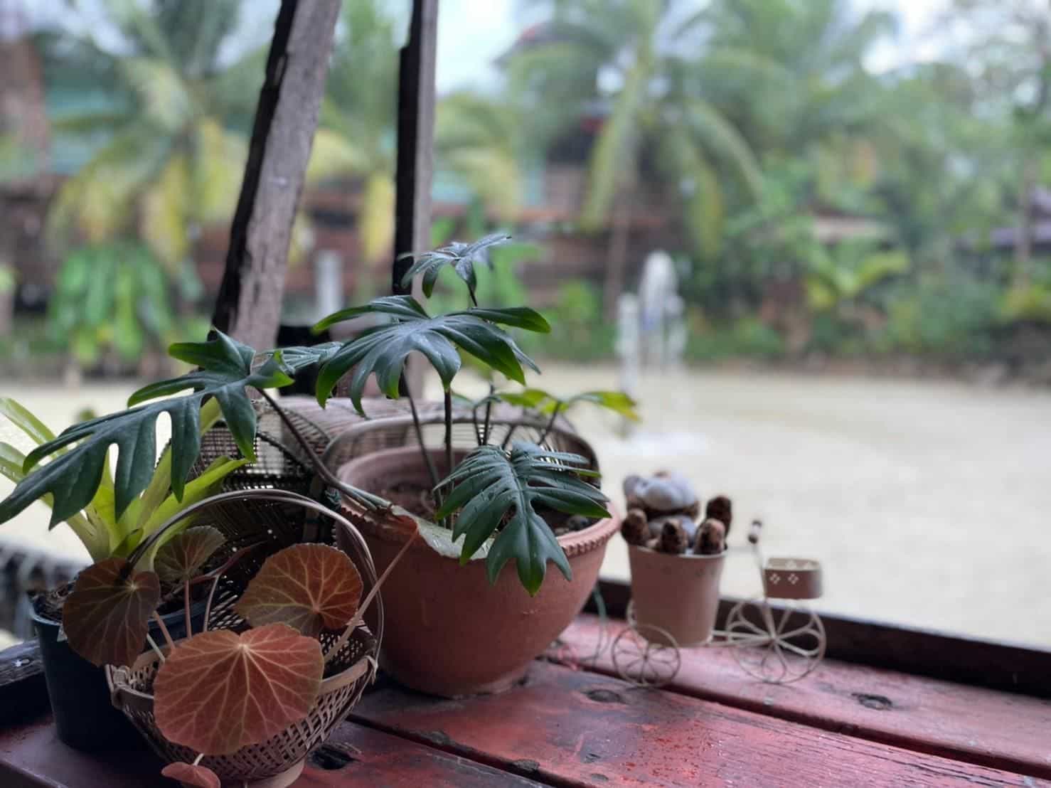Suansonvilla