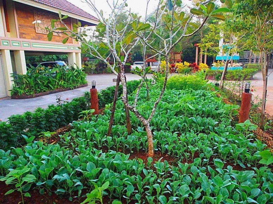 บ้านสวนไอยรา บ้านสวนไอยรา