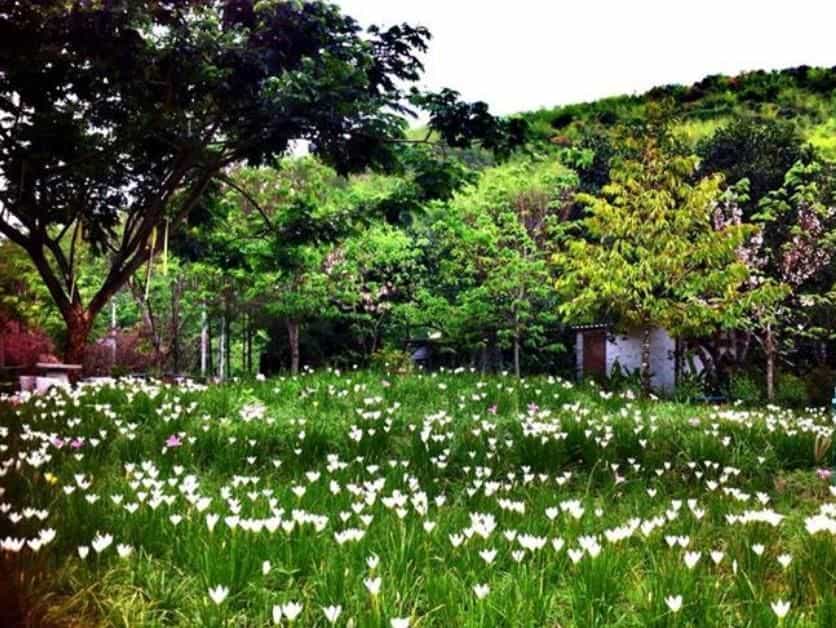 พอเพลิน ฮิบรีสอร์ท แอท สวนผึ้ง พอเพลิน ฮิบรีสอร์ท แอท สวนผึ้ง