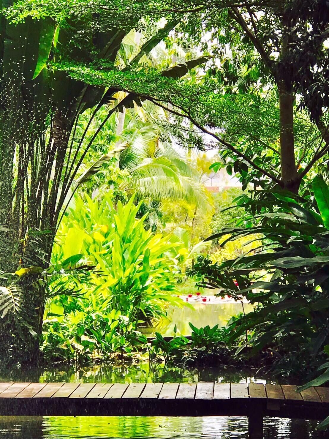 River CoCo Resort2