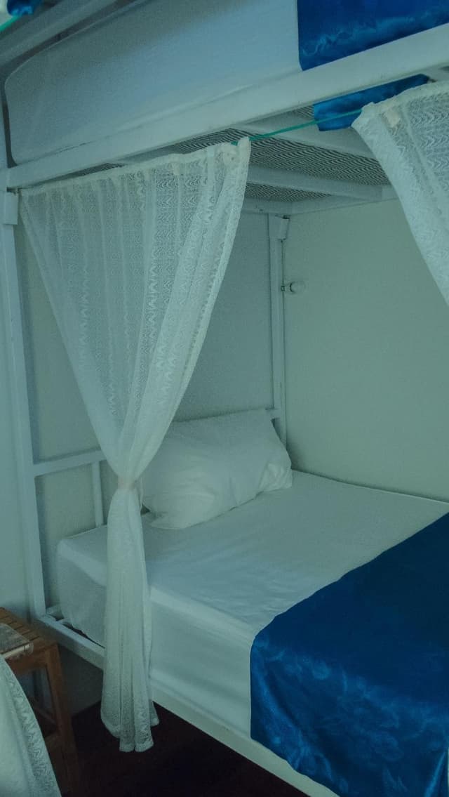 Hostel - Bunk Bed in Mixed Dormitory Room
